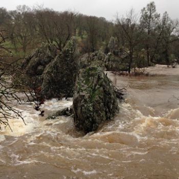 Blackcreek Rain Pictures January & February 2017 Photos by Melinda Geisness