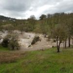 Blackcreek Rain Pictures January & February 2017 Photos by Melinda Geisness