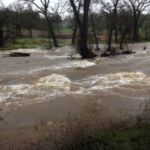Blackcreek Rain Pictures January & February 2017 Photos by Melinda Geisness