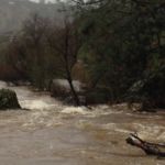 Blackcreek Rain Pictures January & February 2017 Photos by Melinda Geisness