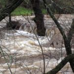 Blackcreek Rain Pictures January & February 2017 Photos by Melinda Geisness
