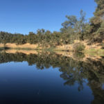 Lake Tulloch